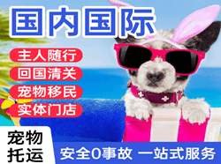 温州龙湾航空货运国际宠物托运 【国